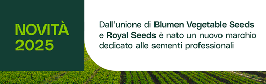 VERISEM-BLUMEN-FLEXI-SITO-250514