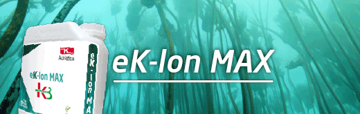 adriatica-flexi-sito-250801