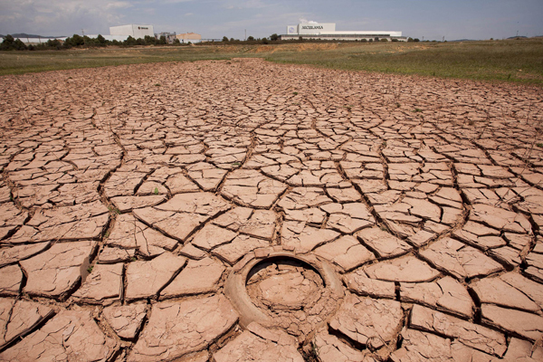 Valencia, la siccità record riduce la produzione di agrumi

