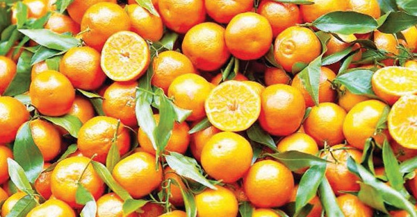 «Boom degli ordini di arance»