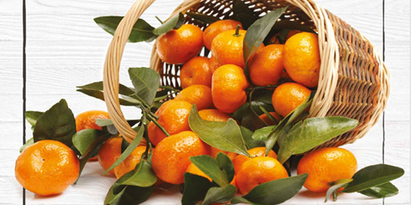 Al via la campagna di promozione delle Clementine italiane