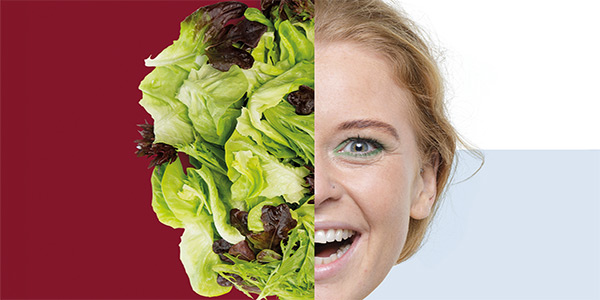 Salanova Teenleaf, l'insalata innovativa di Rijk Zwaan