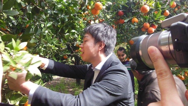 Stop all'incoming di buyer cinesi nella Sicilia degli agrumi