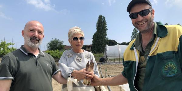 In Romagna si rilancia l’Antico Asparago di Pinarella