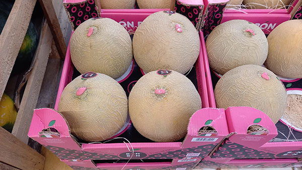 Bmti: meloni, prezzi in risalita