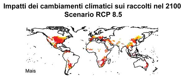 Cambiamenti climatici, un quarto dei raccolti a rischio