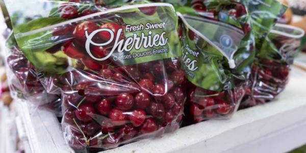 L'Europa stopperà l'import di ciliegie canadesi