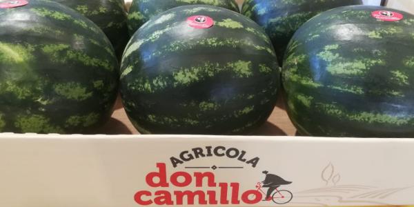 Agricola Don Camillo, l'astro nascente è Cometa