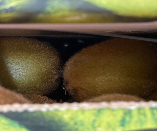 «Kiwi, mercato ingessato: puntare su bio e nuove varietà»