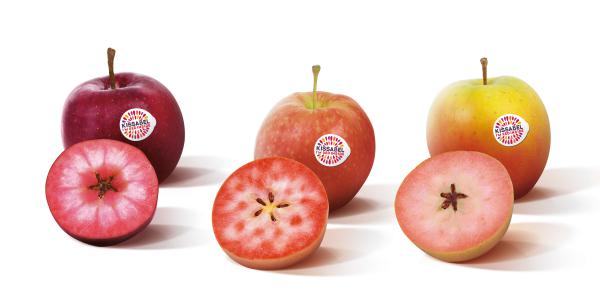 Ecco Kissabel, nuovo brand per le mele a polpa rossa Ifored