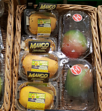 Mango Lemon - Esposizione a negozio