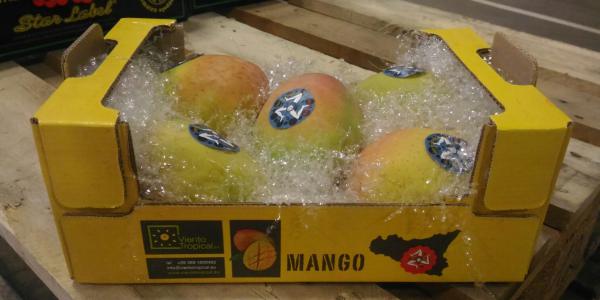 Settembre è il mese del mango siciliano, che piace e si espande