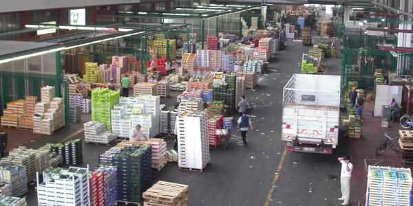 Mercato di Milano: calano i prezzi di zucchine e asparagi