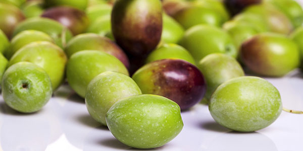 Olive, Salviani entra nel mercato del fresco