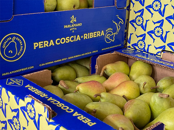 Pere Coscia di Ribera, la stagione prende il via