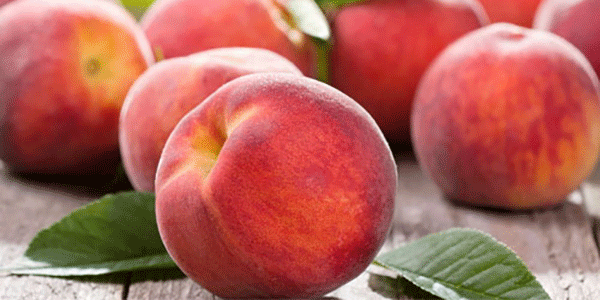 Borsa Merci, aumenta la richiesta di frutta estiva