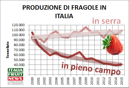 produzione-fragole-italia-2015-ifn