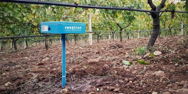 Revotree, l'irrigazione intelligente arriva in Africa