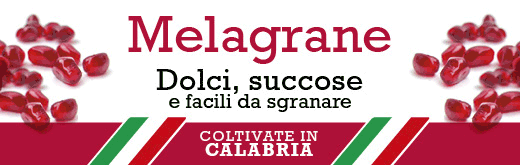 GALLO-FLEXI-SITO-melagrane-260907