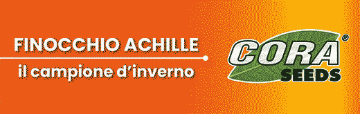 cora-seeds-flexi-sito-260302