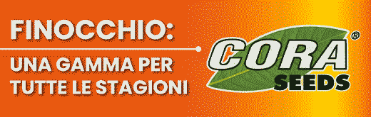 cora-seeds-flexi-sito-260501