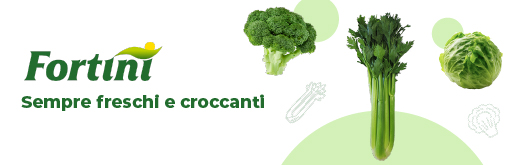 FORTINI-flexi-sito-250601