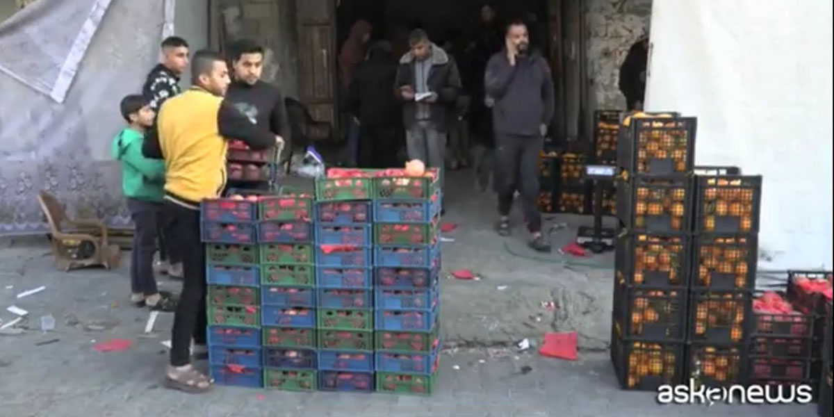 Nella striscia di Gaza torna la frutta