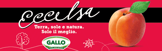 GALLO-FLEXI-SITO-eccelsa-260513