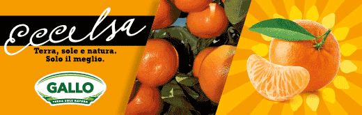 GALLO-FLEXI-SITO-clementine-261012
