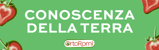 ORTOROMI-FLEXI-SITO-int-nat-250430