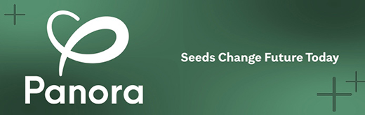 PANORA-ISI-FLEXI-SITO-250701