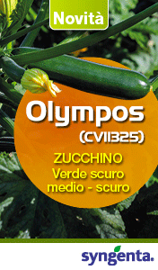 SYNGENTA-SMART-SITO-olympos-240420