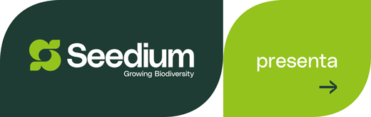 VERISEM-SEEDIUM-FLEXI-SITO-260211