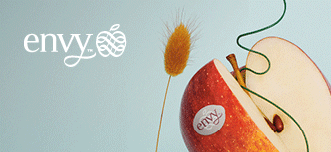 vip-vog-envy-manc-sito-260101