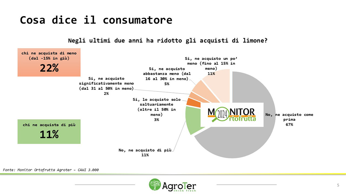 Limoni freschi e non trattati: scopri i benefici – My Fresh Fruits