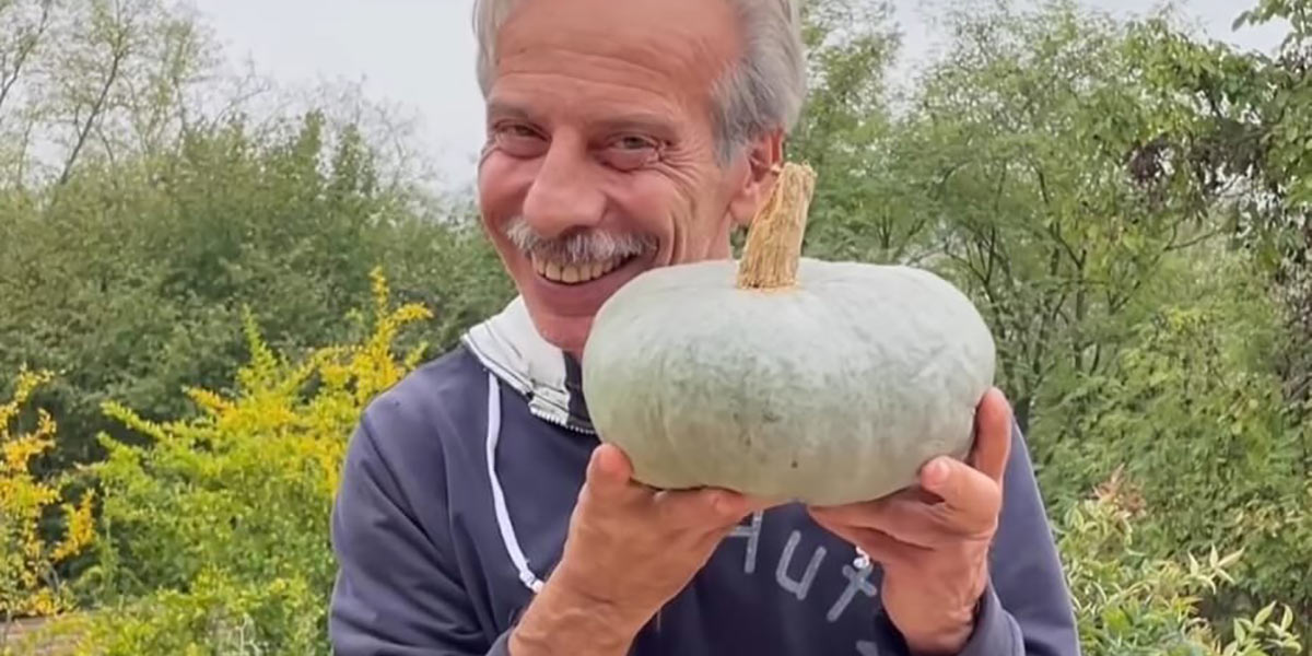 Come ottenere la zucca violina per la IV gamma