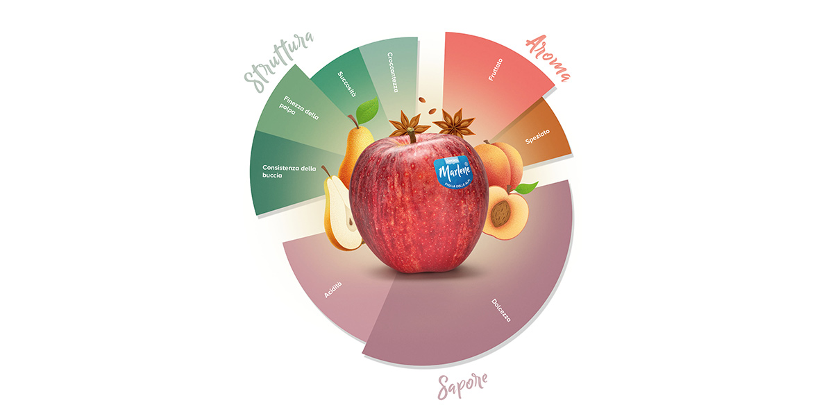 Makadamia, ecco il brand che porta l'innovazione nella frutta secca -  Italiafruit News