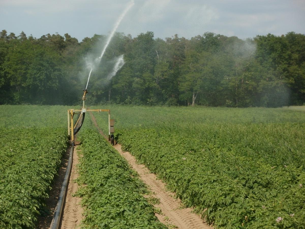 Pesticidi, non c'è tempo per fare quello che chiede l'Ue» - Italiafruit News