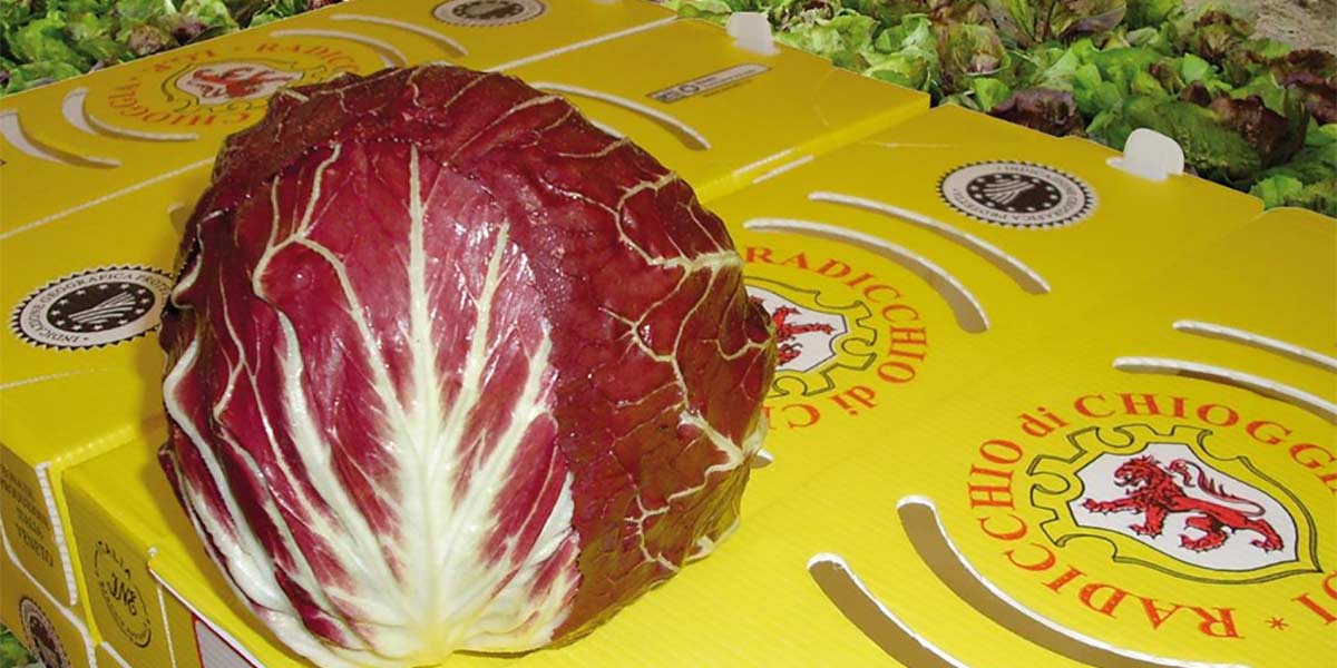 Il radicchio di Chioggia arriva in Liguria