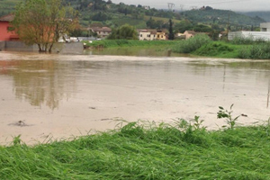 IL MALTEMPO FLAGELLA ANCHE LE CAMPAGNE TOSCANE - Italiafruit News