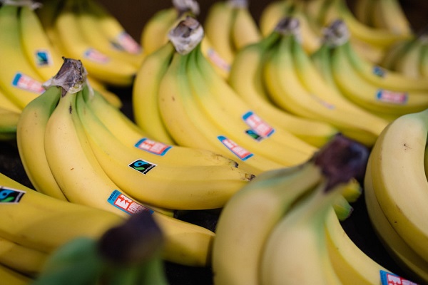 Fairtrade: «Nel 2019 crescita solida dei nostri prodotti»