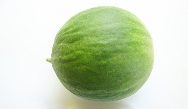 Barattiere pugliese, il frutto a metà tra cetriolo e melone