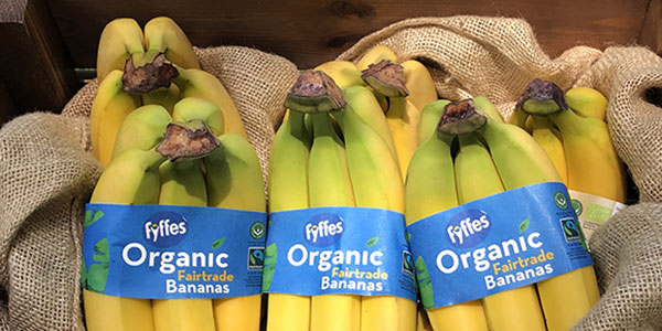 Fyffes «taglia» la plastica dalle banane bio