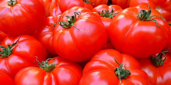 Pomodori potenziati per sviluppare maggiore Vitamina D