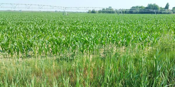 L'irrigazione hi-tech italiana arriva in Spagna
