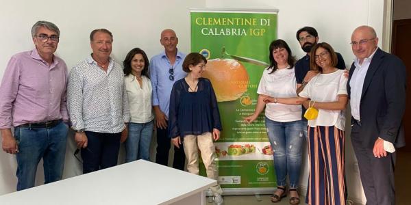 «Clementine di Calabria, aria di innovazione»