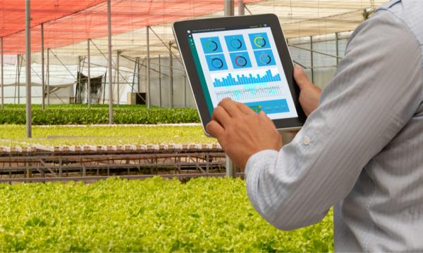 Agrifood, le tecnologie digitali 4.0 valgono 540 milioni 