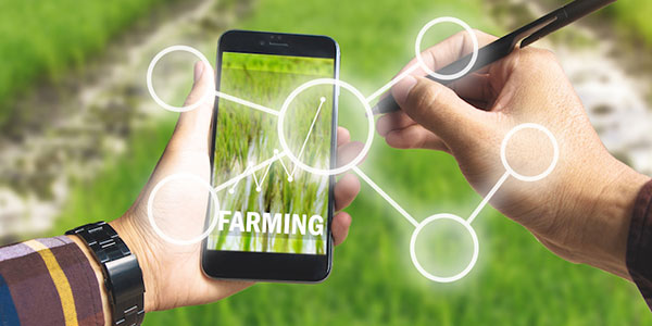Il digitale alla conquista dell'agricoltura