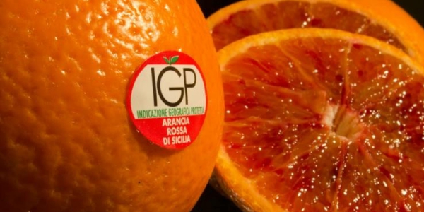Arancia Rossa di Sicilia Igp, al via le nuove adesioni