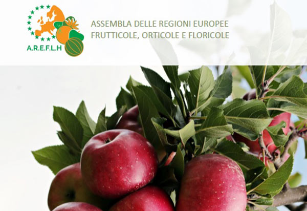 Areflh, regioni europee e produttori insieme a Trento